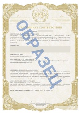 Образец Сертификат СТО 01.064.00220722.2-2020 Краснотурьинск Сертификат СТО 01.064.00220722.2-2020 