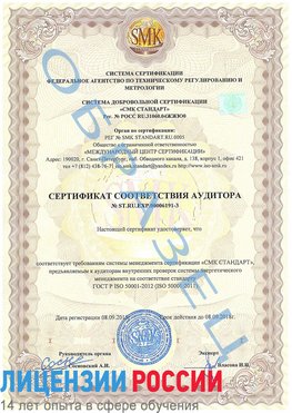 Образец сертификата соответствия аудитора №ST.RU.EXP.00006191-3 Краснотурьинск Сертификат ISO 50001