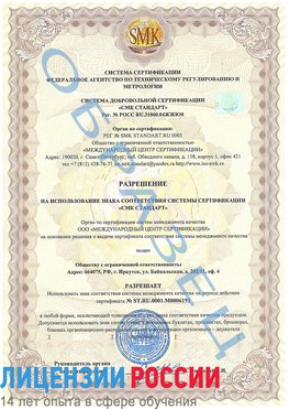 Образец разрешение Краснотурьинск Сертификат ISO 50001